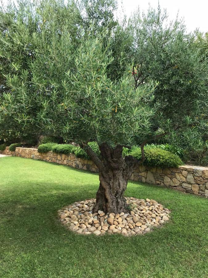 Belle Villa Dans Clos Prive - Saint Raphael Boulouris מראה חיצוני תמונה