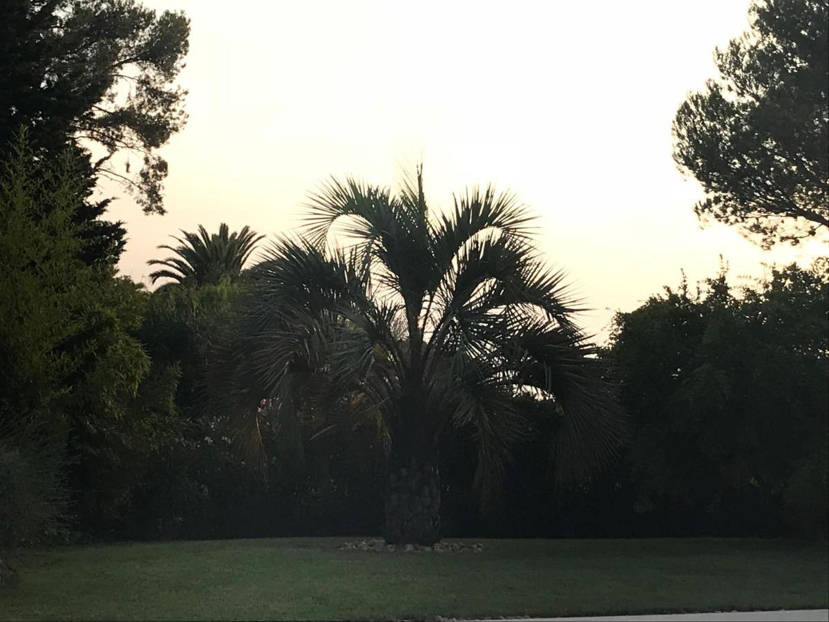 Belle Villa Dans Clos Prive - Saint Raphael Boulouris מראה חיצוני תמונה